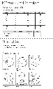 Muetzen-Schalset-Tabellen.webp