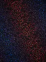 Abado_Leo_bunt_schwarz_999299_h1.webp