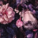 01946.006_image1.webp