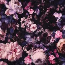 01946.006_mainimage.webp