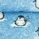 082780-552253-arctic-christianezielinski-ballen.webp