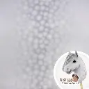 hobby_horse_stoff_apfelschimmel_62344_supersoft_shorty_1_mit_pferd.webp