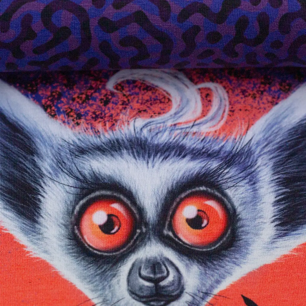 082146-481643-lemurtoujours-thorstenberger-ballen.webp