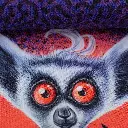 082146-481643-lemurtoujours-thorstenberger-ballen.webp