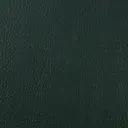 Kunstleder metallic | REX | grün Zuschnitt, 50cm 