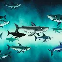 Panel French Terry | Shark Tank By Thorsten Berger/Swafing | Haie klein