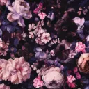 Sweatshirt Stoff „Midnight Bloom“ – Dunkler Sweat mit romantischem Blumenmuster