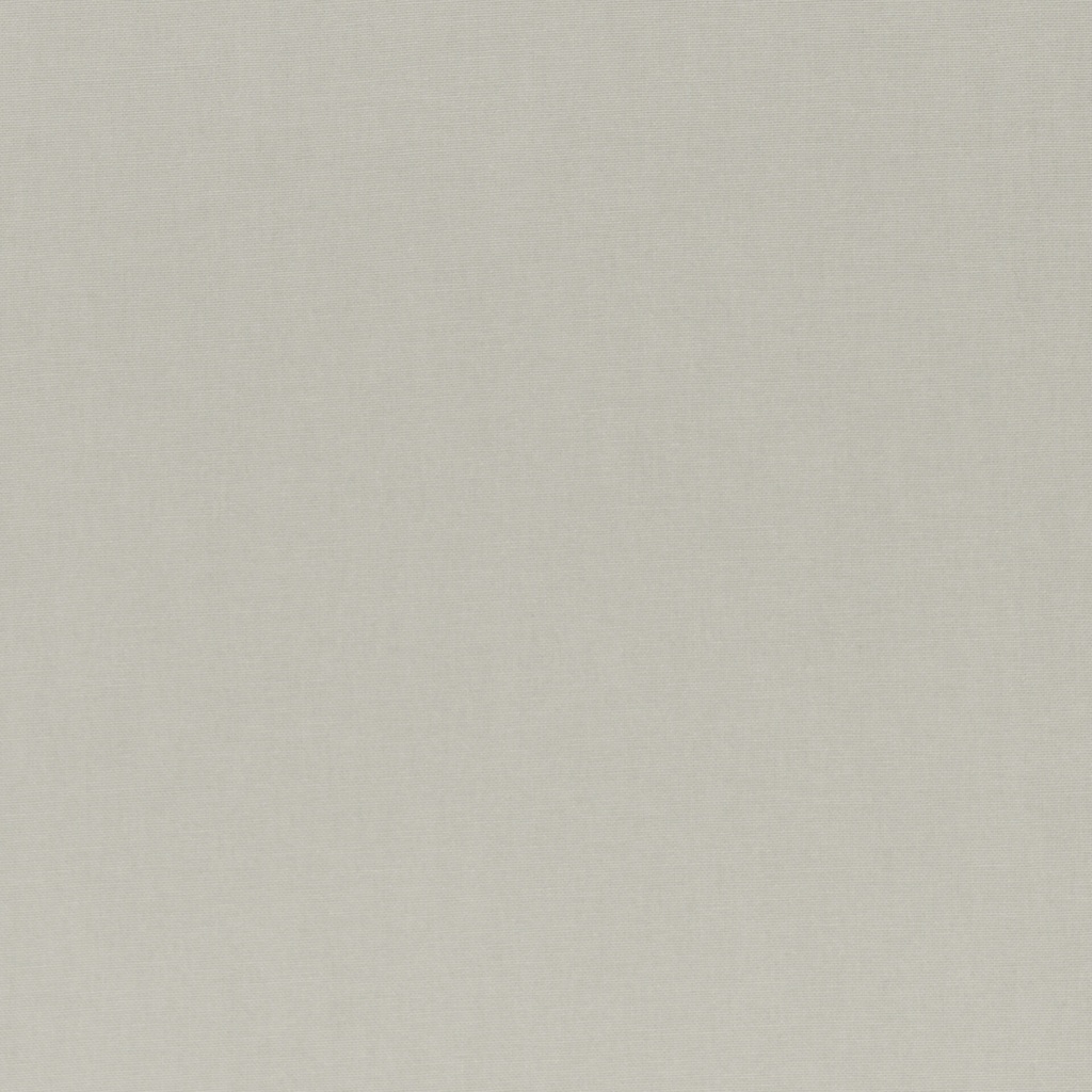 Canvas | Calvin by Swafing | camel/beige