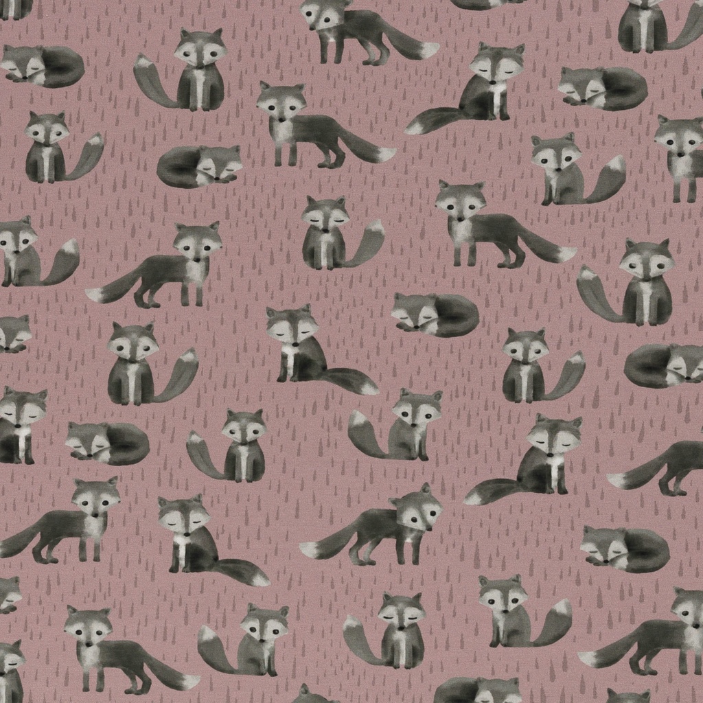 Mr. Socks by Bienvenido Colorido