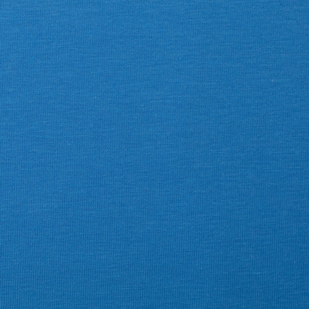 French terry | Maike by Swafing | FS 23 plain blue