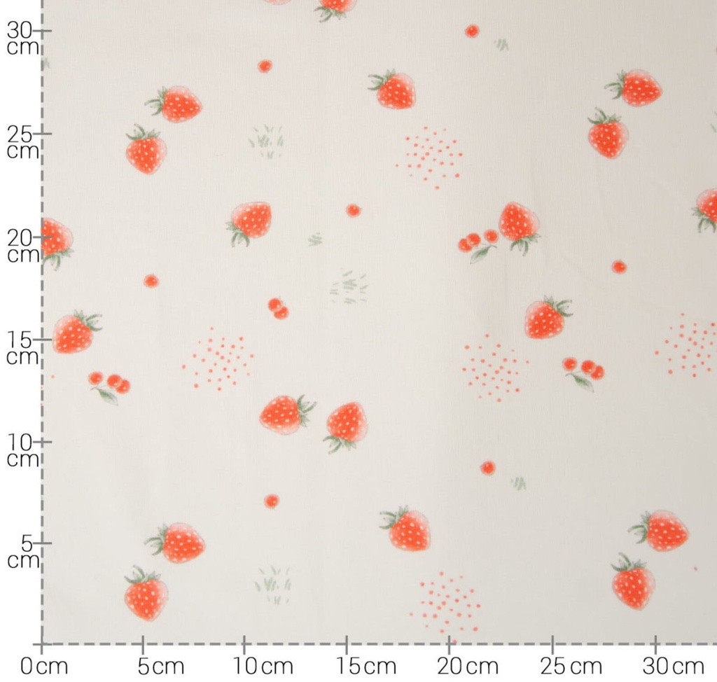 Jersey | Mini Fruits by HILCO | creme weiss, Erdbeeren, Reststück 90cm