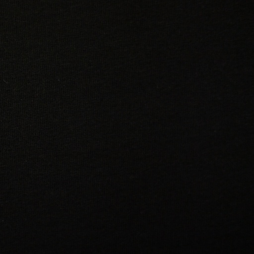 [082321-000299] Sweat brossé | Eike par Swafing | noir 299