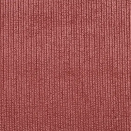 [04432.0002] Cord-Teddy | Blush