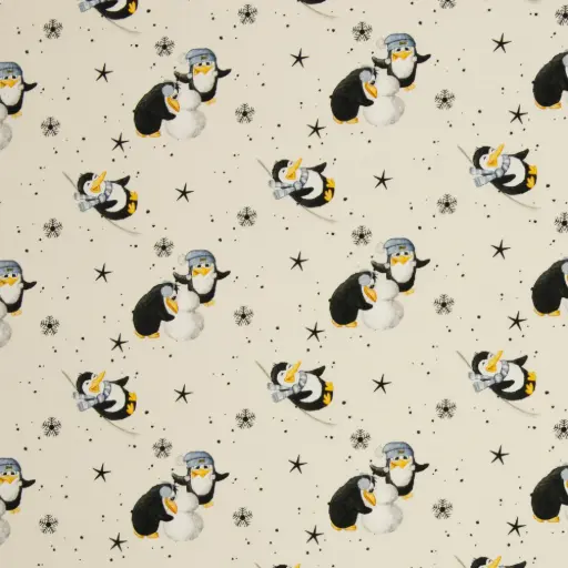 [082330-150-594010] Funtarktis 