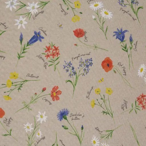 [082332-110602] Canvas | Balingen by Swafing | Wiesenblumen 