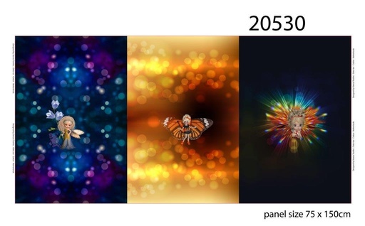 [20530 002] Panel French Terry | Fairies and Magic by Stenzo | colorful