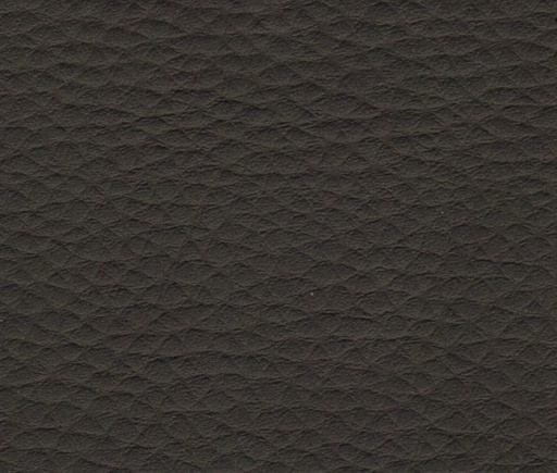 [075763-000299] Roxana, artificial leather with felt backing