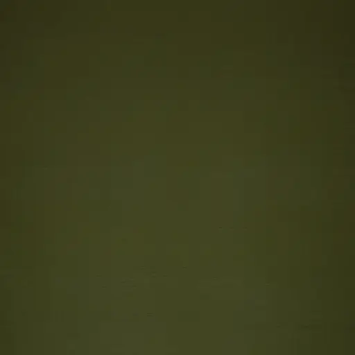 [080985-000767] Double Gaze, Mousseline | Jenke de Swafing | vert